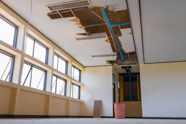 Carpet water damage restoration in Ferguson, MO