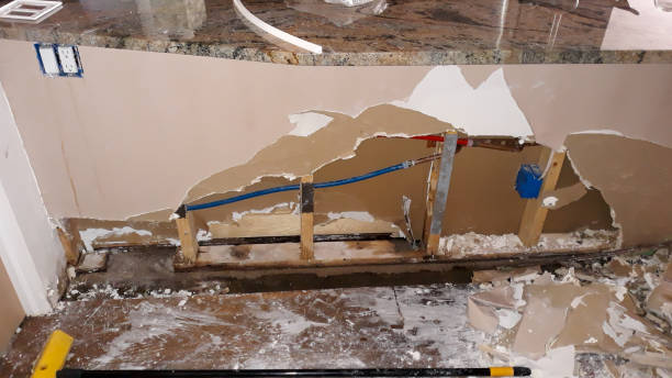 Best Water damage contractors near me  in Ferguson, MO