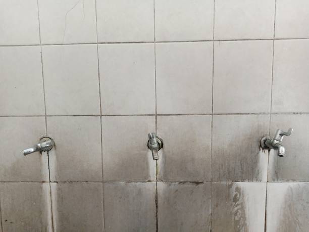 Best Commercial water damage restoration  in Ferguson, MO