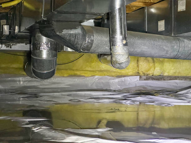 Best Basement water damage restoration  in Ferguson, MO